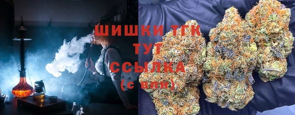 индика Баксан