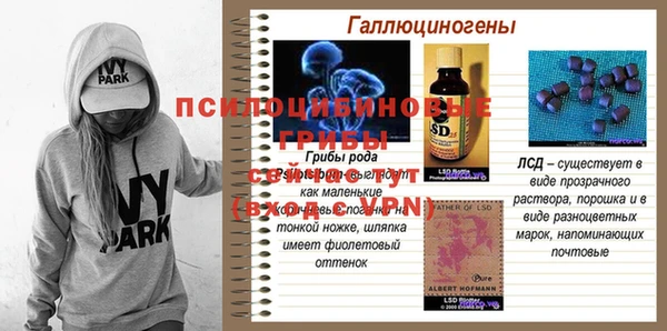 индика Баксан
