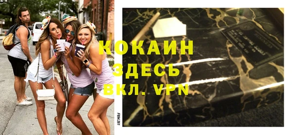 индика Баксан
