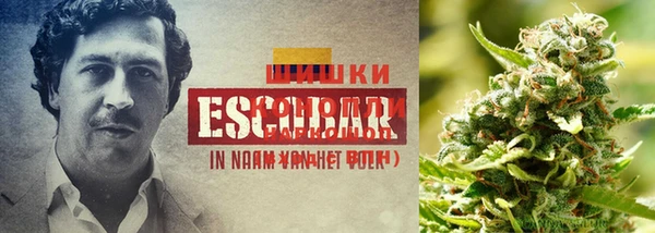 индика Баксан